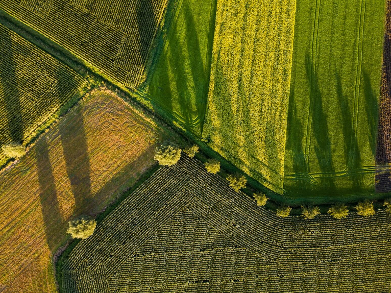 Žemės sklypai Lietuvoje iš aukščiau